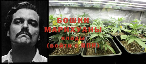 трава Елизово