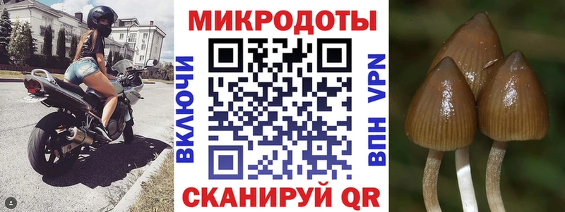 Галлюциногенные грибы мицелий  Корсаков 