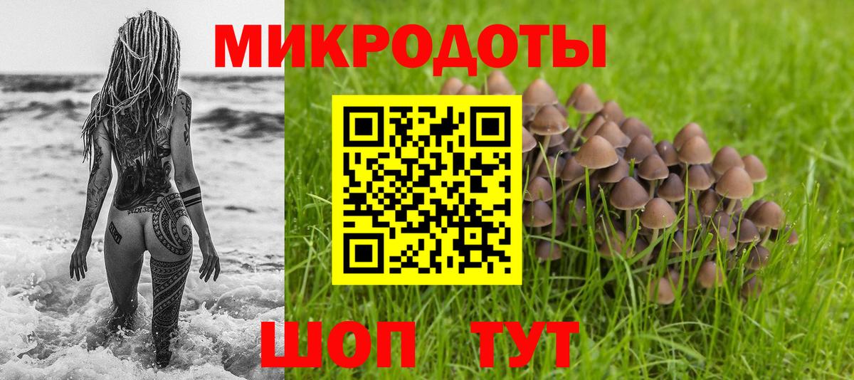 дарнет шоп  Псилоцибиновые грибы прущие грибы  Псилоцибиновые грибы Magic Shrooms  Вход с VPN  Корсаков 